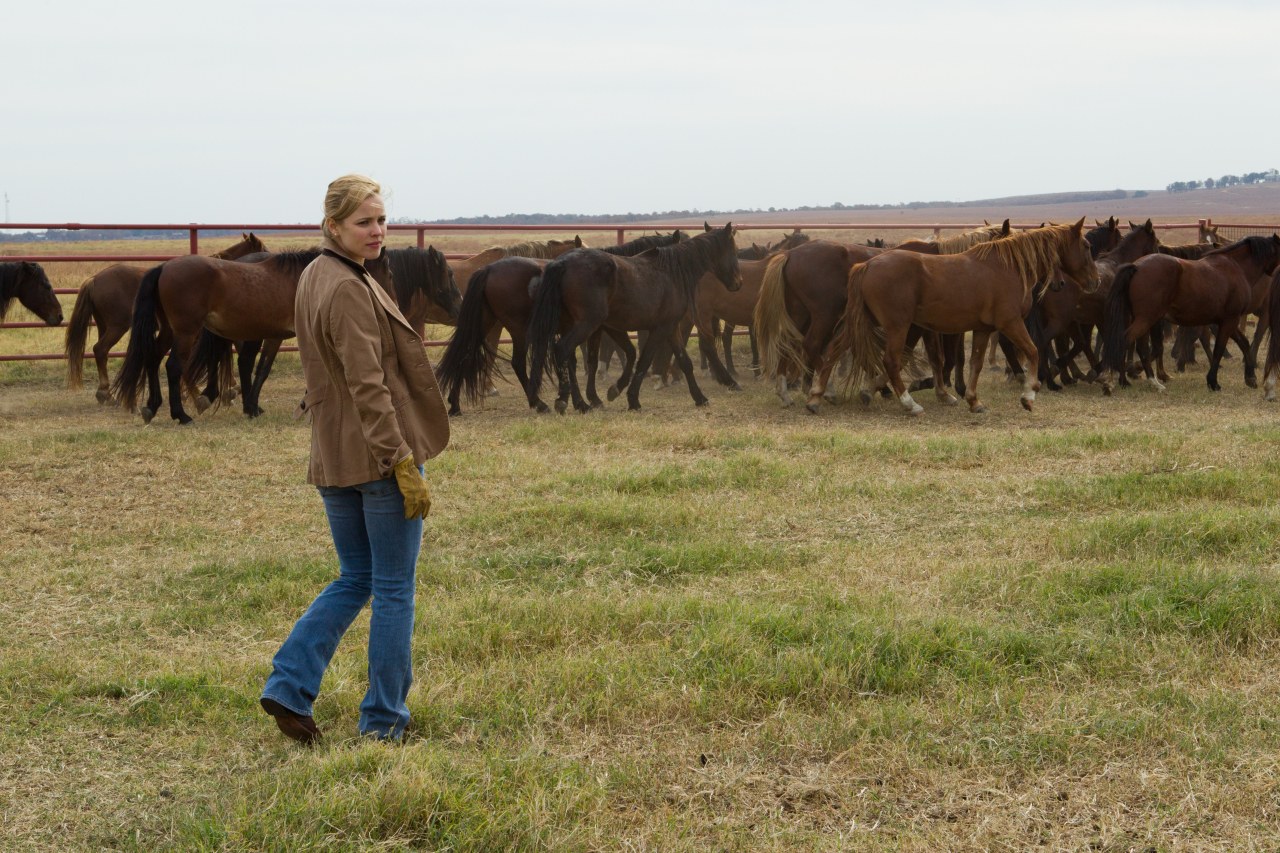 To the Wonder - Bild 8