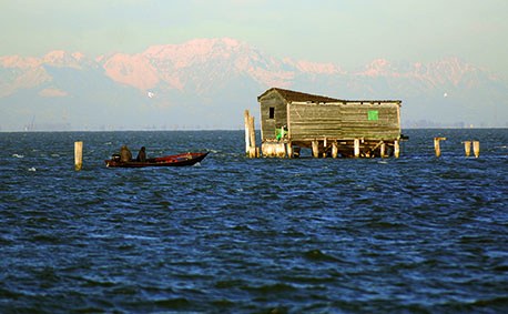 Venezianische Freundschaft - Bild 1