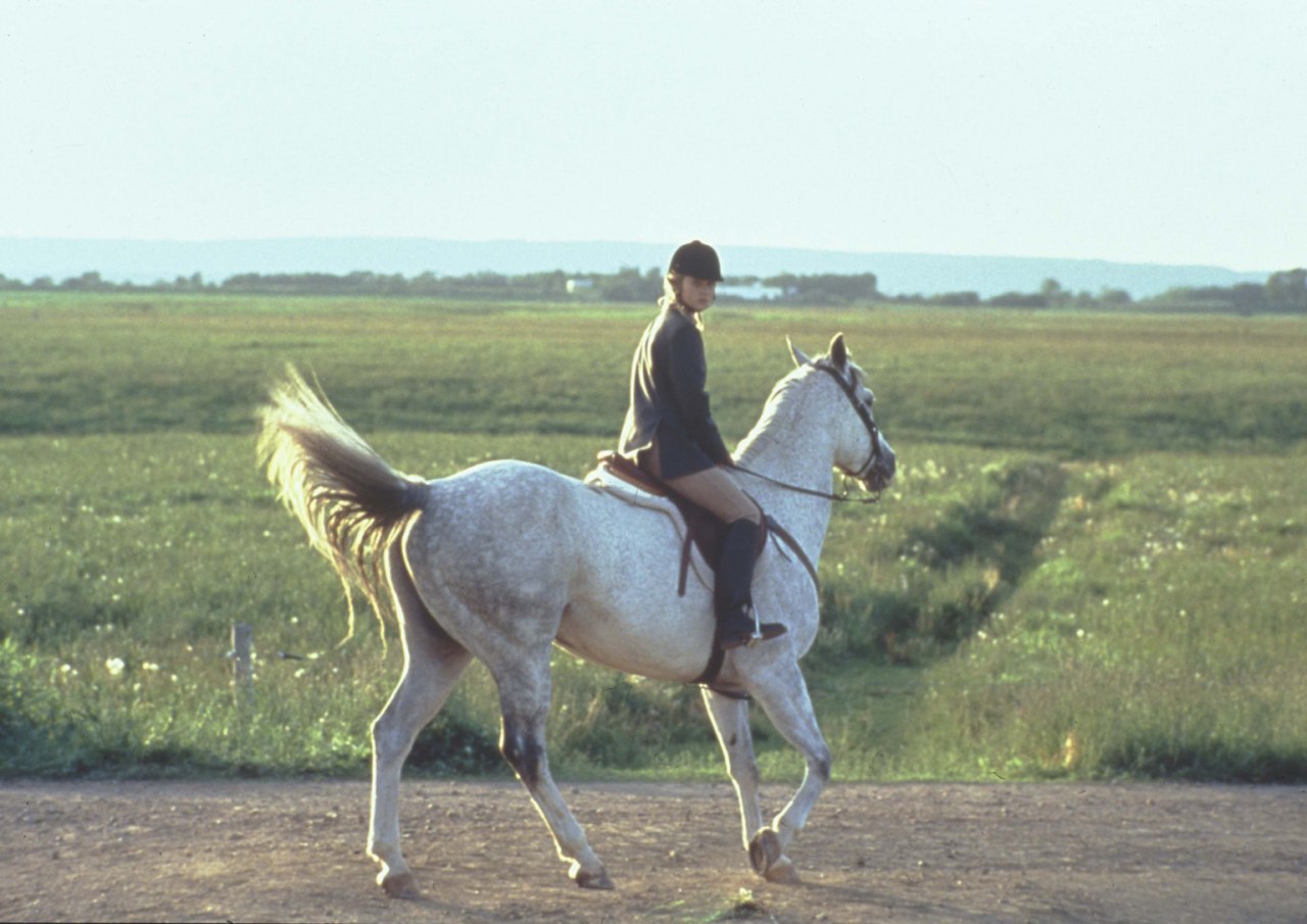 Virginia's Run Cinestar