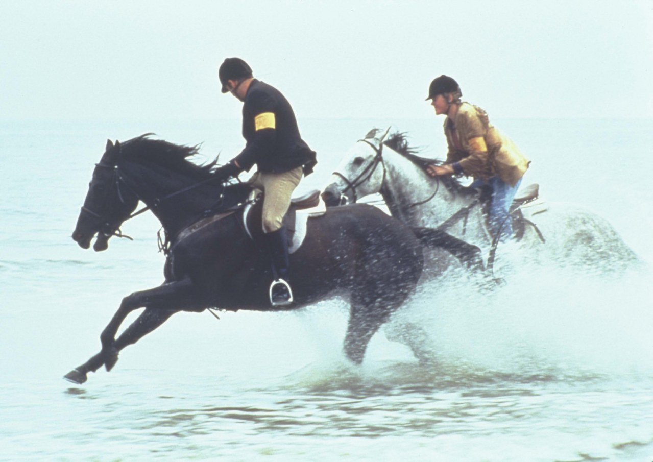 Virginia's Run Cinestar