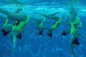 Water Lilies - Bild 1
