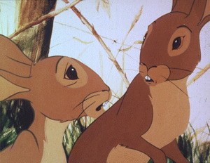 Watership Down - Unten am Fluß - Bild 1