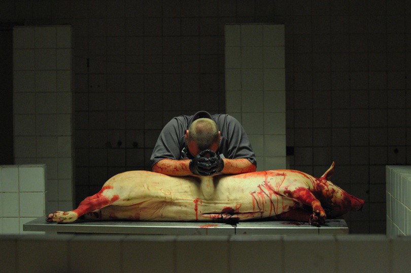 What the Fuck heißt Redirected? - Bild 2