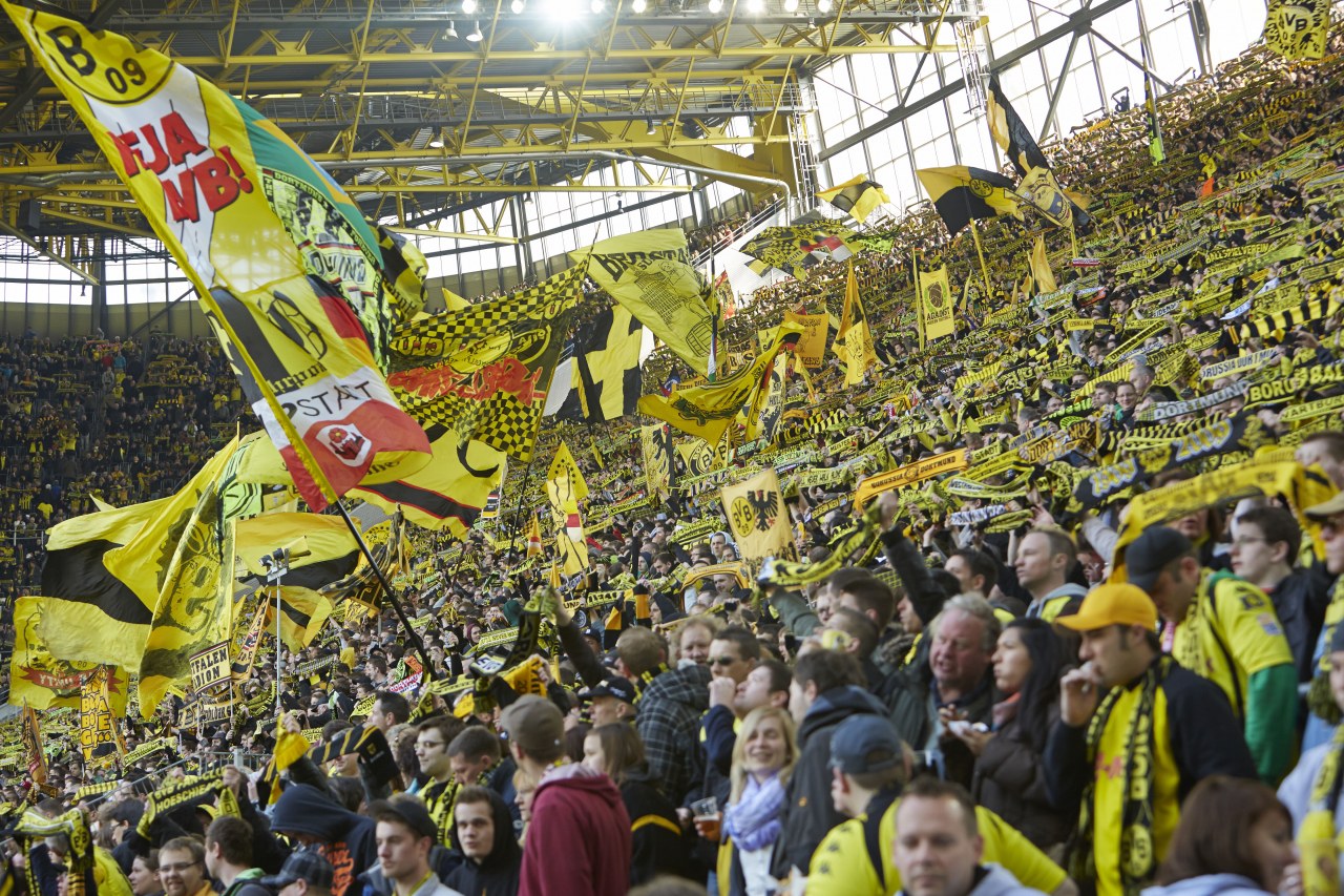 Wir die Wand - Bild 4