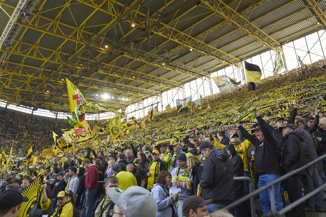 Wir die Wand - Bild 5