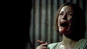 Wolf Creek - Bild 2