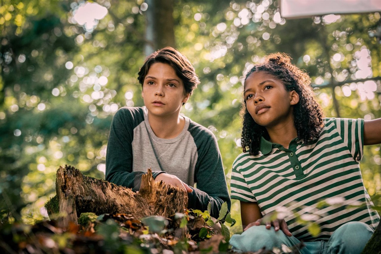 Woodwalkers | Cinestar
