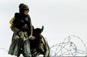 Zeit der trunkenen Pferde - Bild 1