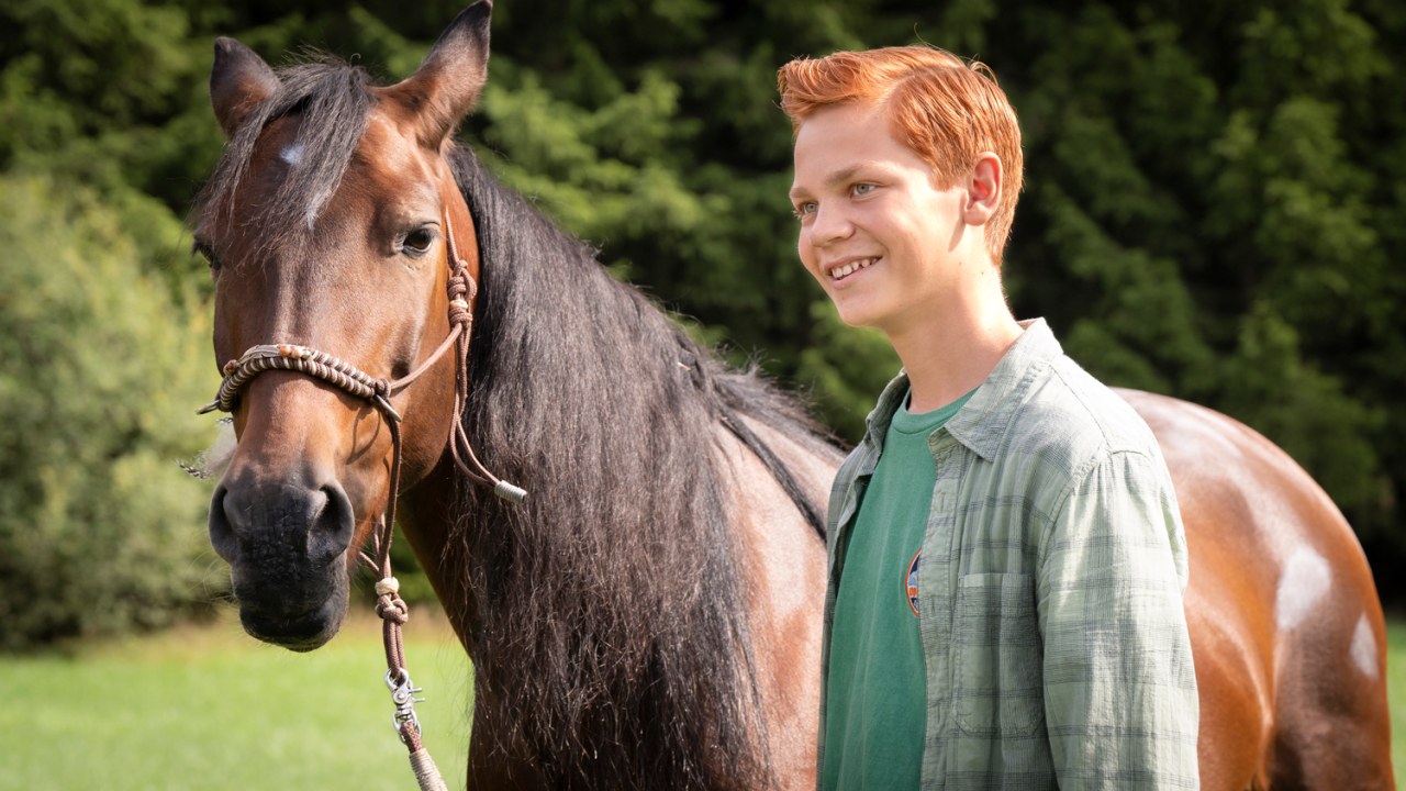 Ponyherz - Wild und frei - Bild 6