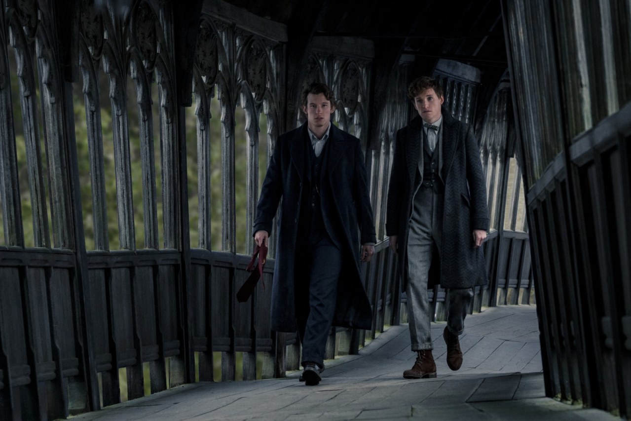 Phantastische Tierwesen: Dumbledores Geheimnisse - Bild 8