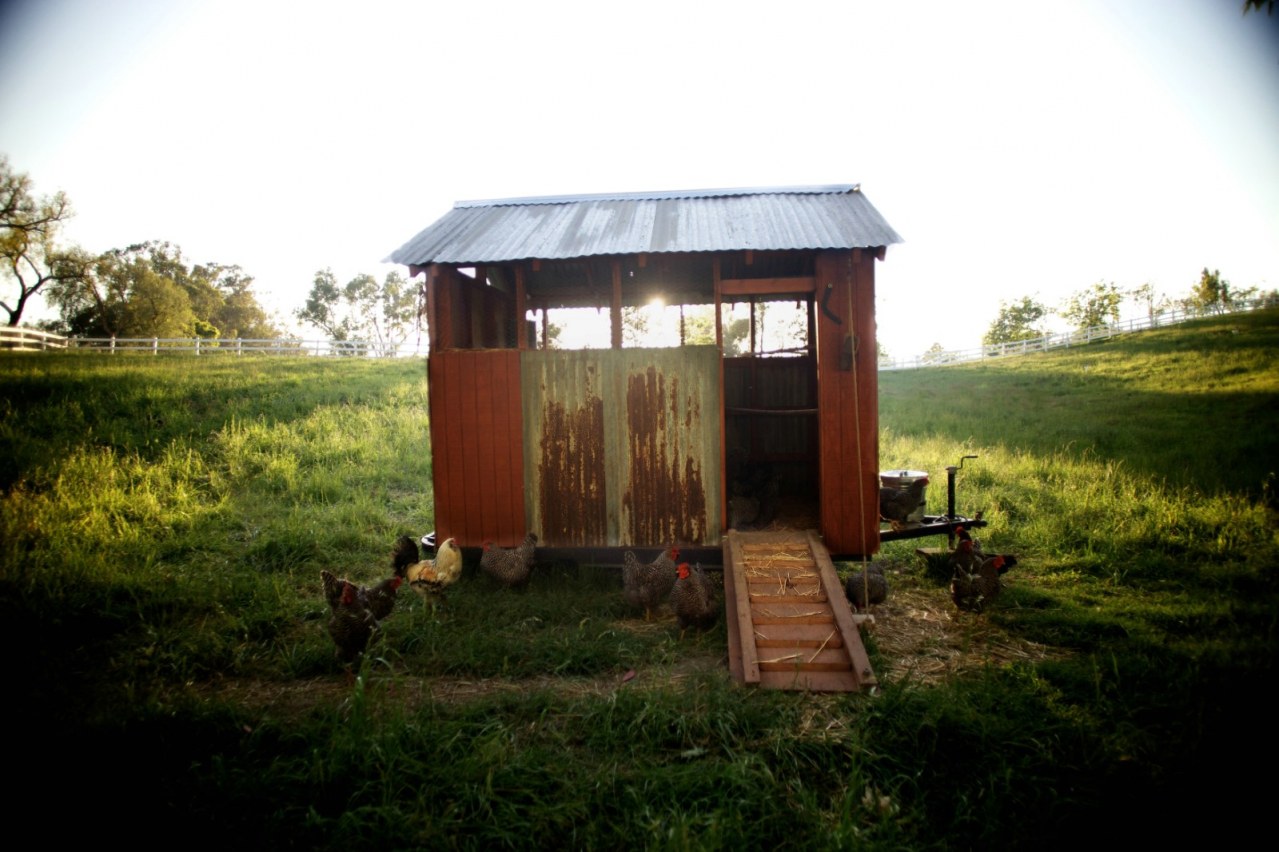 Unsere große kleine Farm - Bild 7