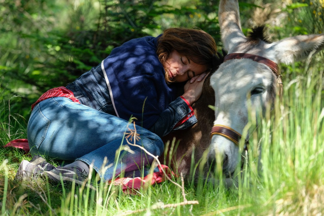 Mein Liebhaber, der Esel & ich - Bild 8