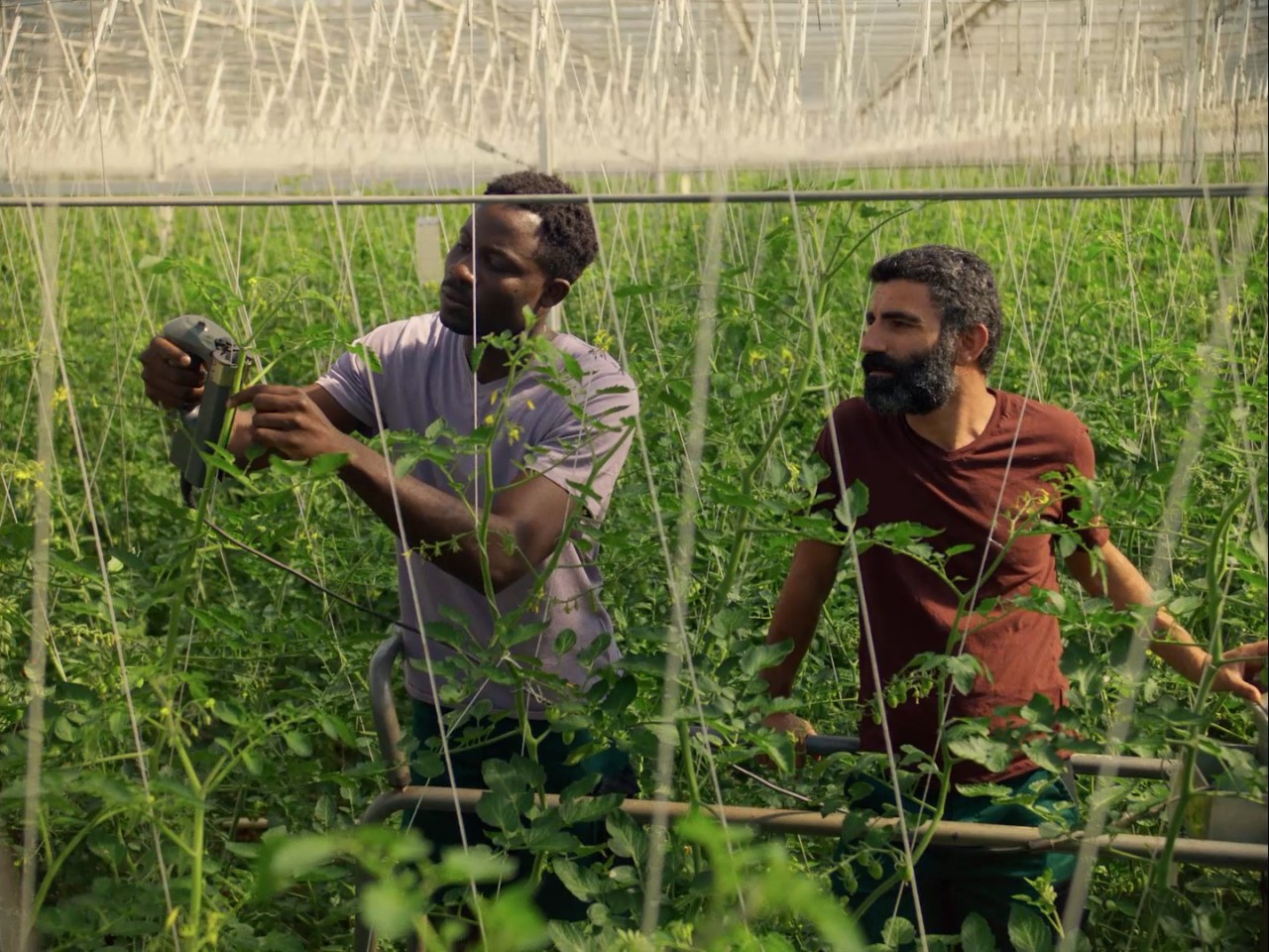 Die Amitié - Bild 4