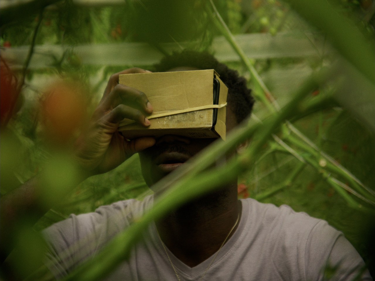 Die Amitié - Bild 1