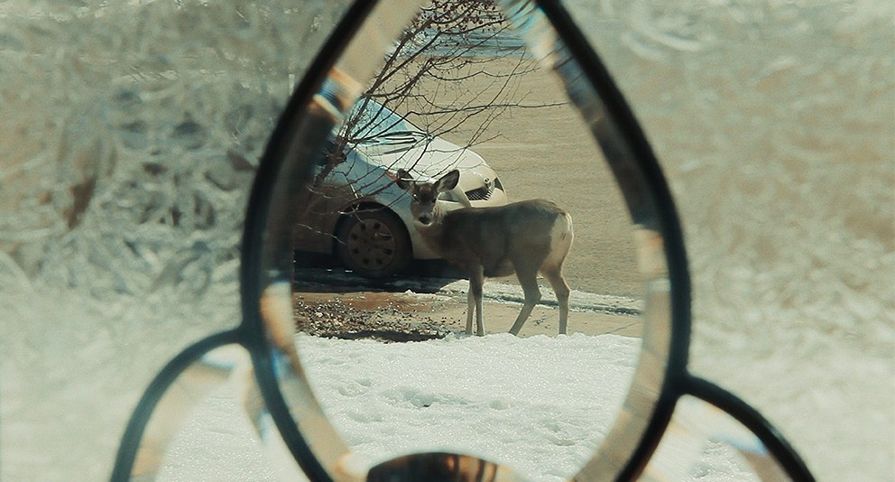 Dark Eden - Der Albtraum vom Erdöl - Bild 2