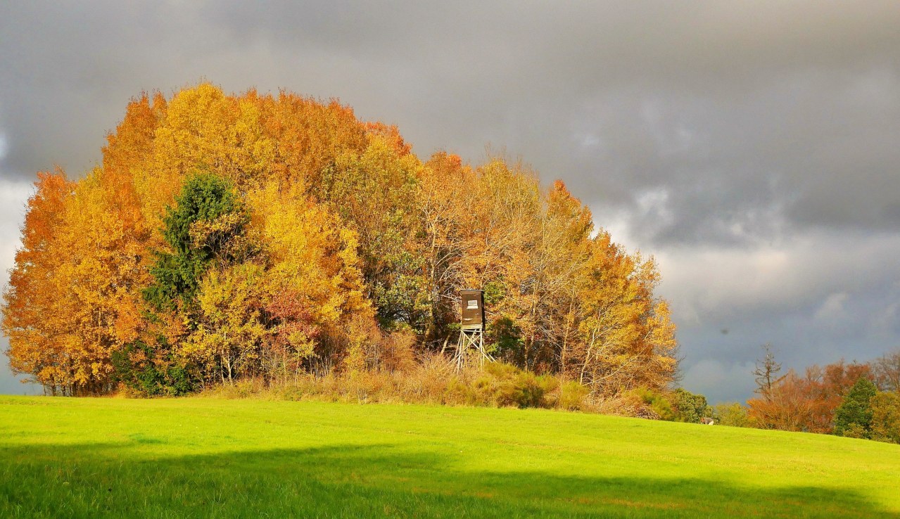 Die Wiese - Ein Paradies nebenan - Bild 2