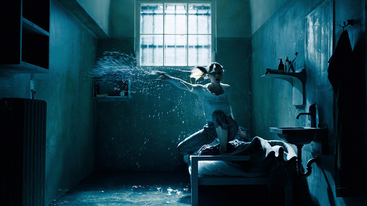 Fly - Bild 8