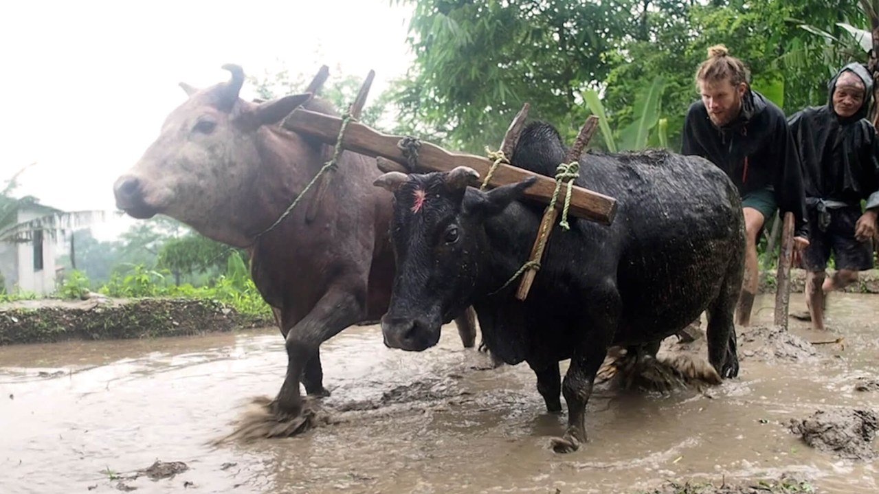 Namaste Himalaya - Wie ein Dorf in Nepal uns die Welt öffnete - Bild 8