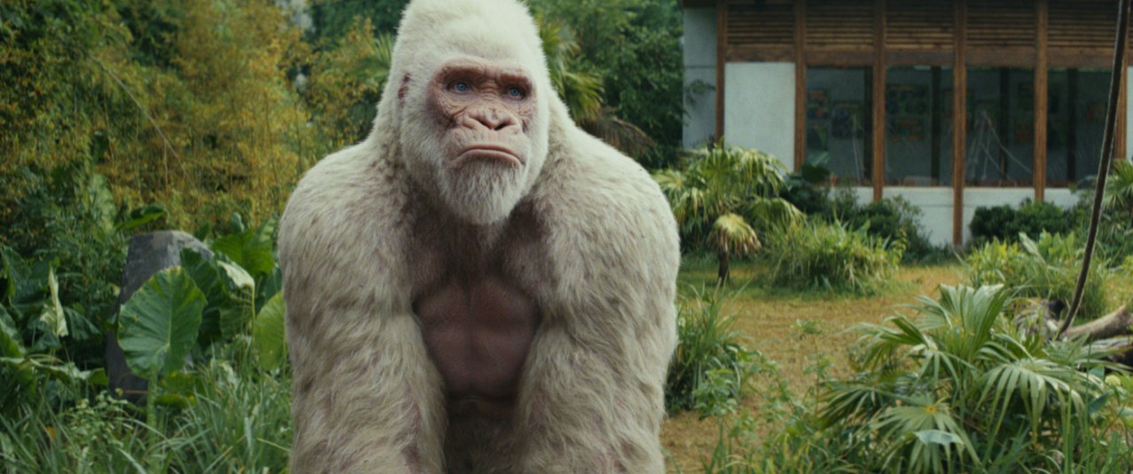 Rampage - Big Meets Bigger - Bild 13