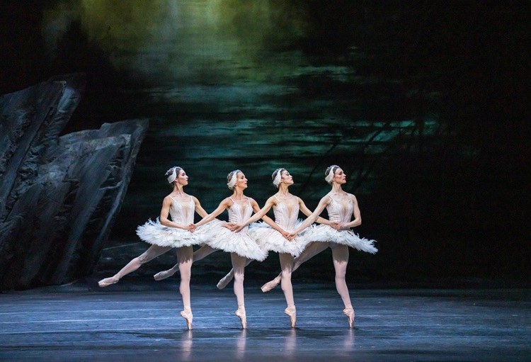 Schwanensee - Tschaikowsky (Royal Ballet & Opera 2024/25) - Bild 2