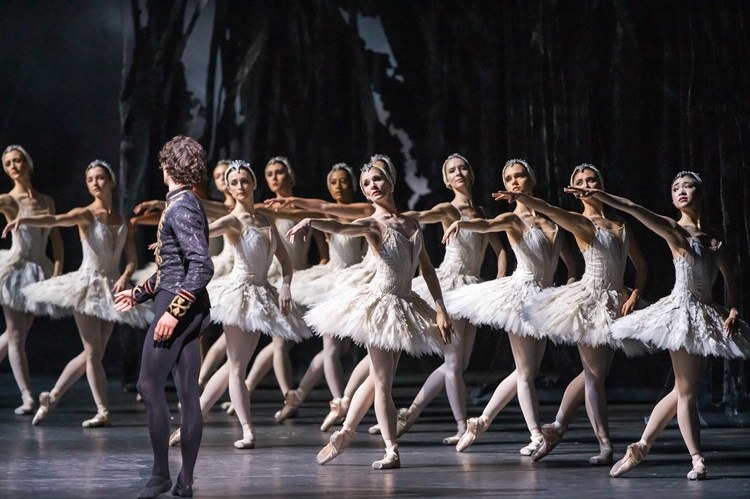 Schwanensee - Tschaikowsky (Royal Ballet & Opera 2024/25) - Bild 4